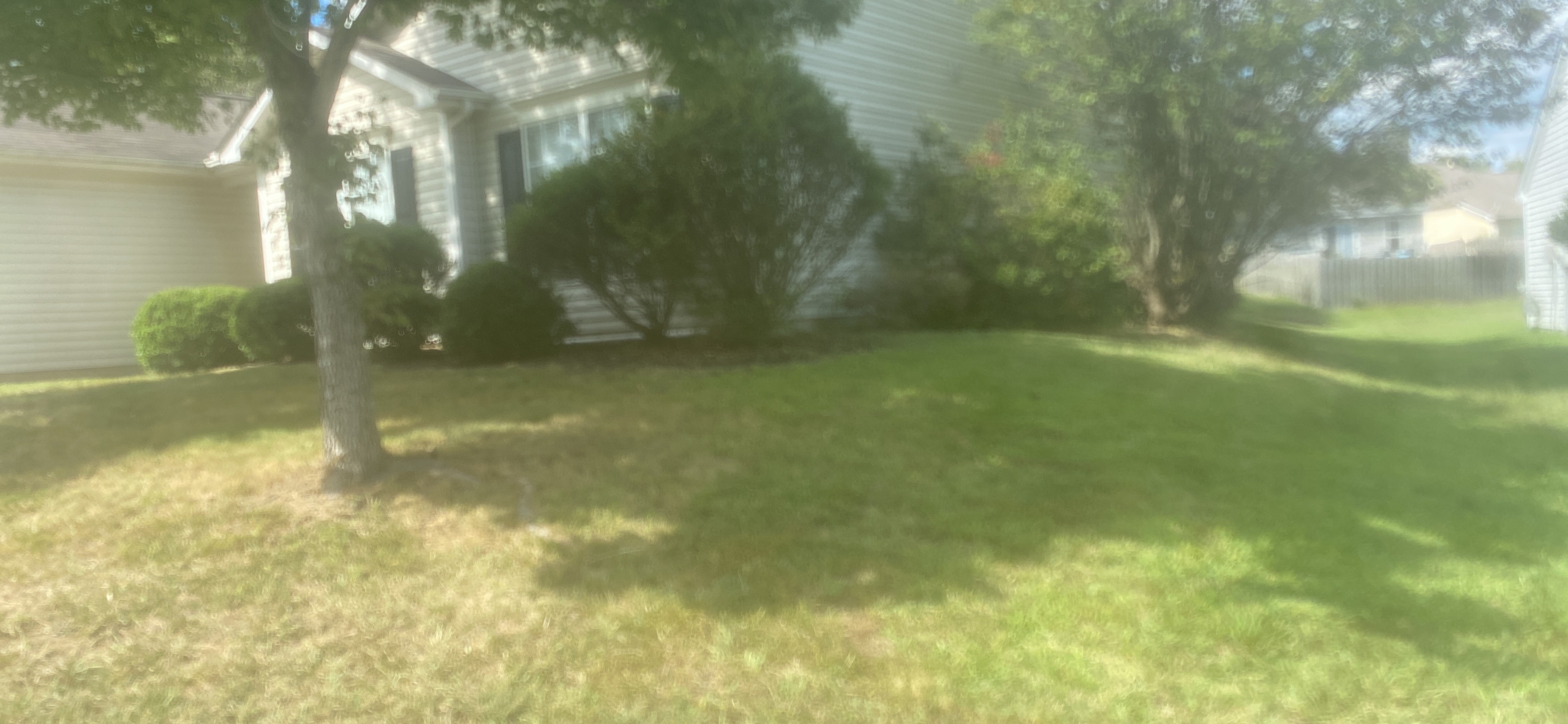 Lawn mowing belmont hot sale